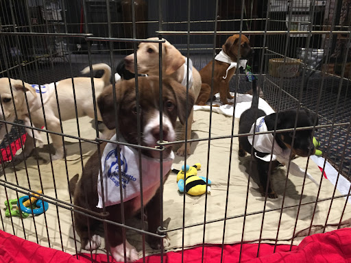 Movie Theater «Park Plaza Cinema», reviews and photos, 33 Office Park Rd #201, Hilton Head Island, SC 29928, USA