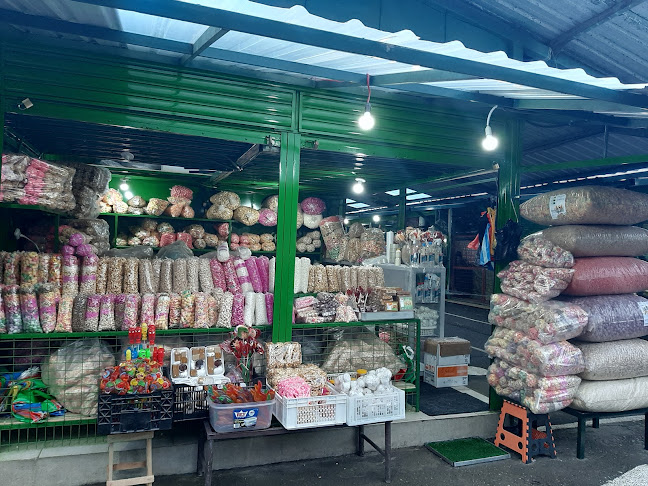 Av. Carlos Arizaga Vega, Cuenca