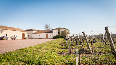 Vignobles Dupuy à Mombrier