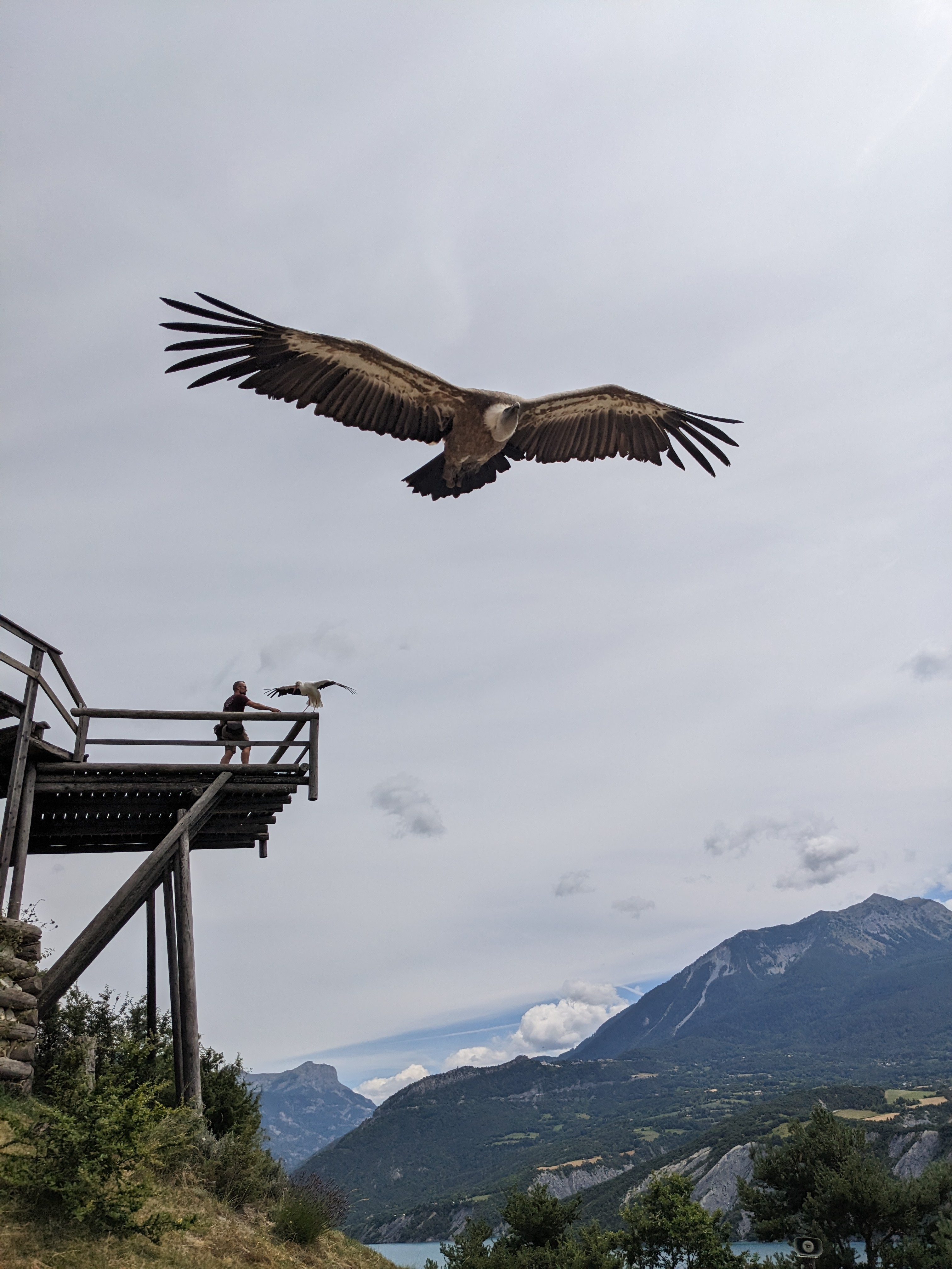 Photo n° 2 de l'avis de Marry.a fait le 28/07/2023 à 17:35