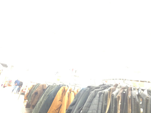 Home Improvement Store «Tractor Supply Co.», reviews and photos, 3355 Guthrie Hwy, Clarksville, TN 37040, USA