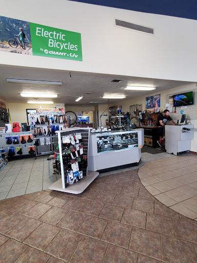 Bike One, 159 24th Ave NW, Norman, OK 73069, USA, 