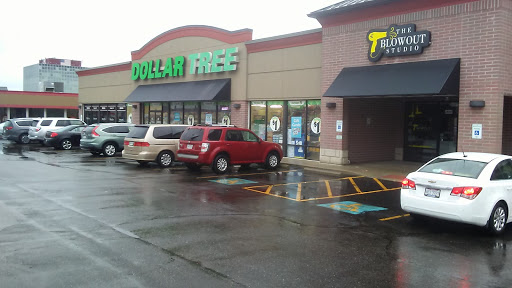 Dollar Store «Dollar Tree», reviews and photos, 4634 Belden Village St NW, Canton, OH 44718, USA