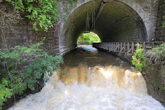 Corbett's Glen Nature Park