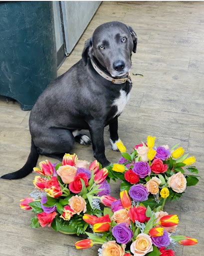 Florist «Mille Fleurs», reviews and photos, 4901 Keller Springs Rd #109, Addison, TX 75001, USA