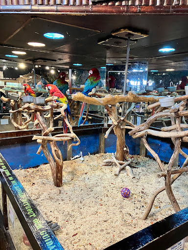 Pet Store «Pet Kingdom», reviews and photos, 4650 S Cleveland Ave, Fort Myers, FL 33907, USA