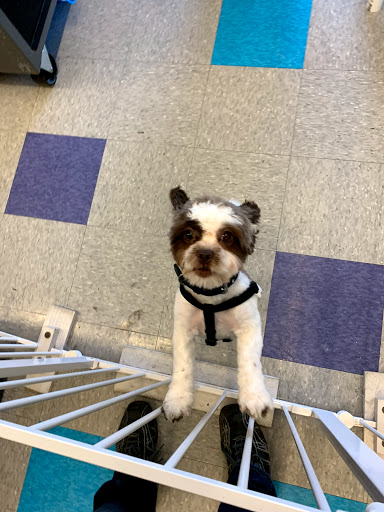 Pet Supply Store «Bow Wow and Meow Pet Supplies», reviews and photos, 1648 S 4th St, Allentown, PA 18103, USA