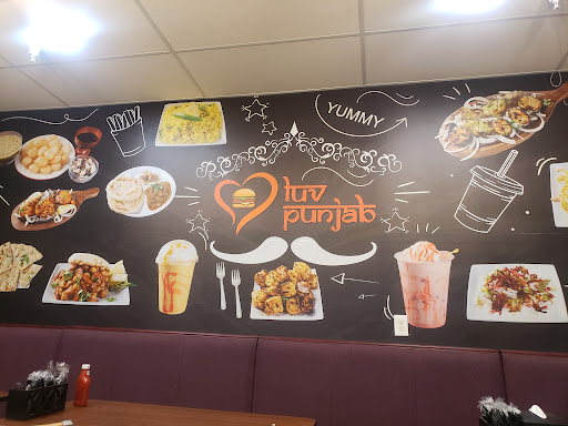 Luv Punjab image