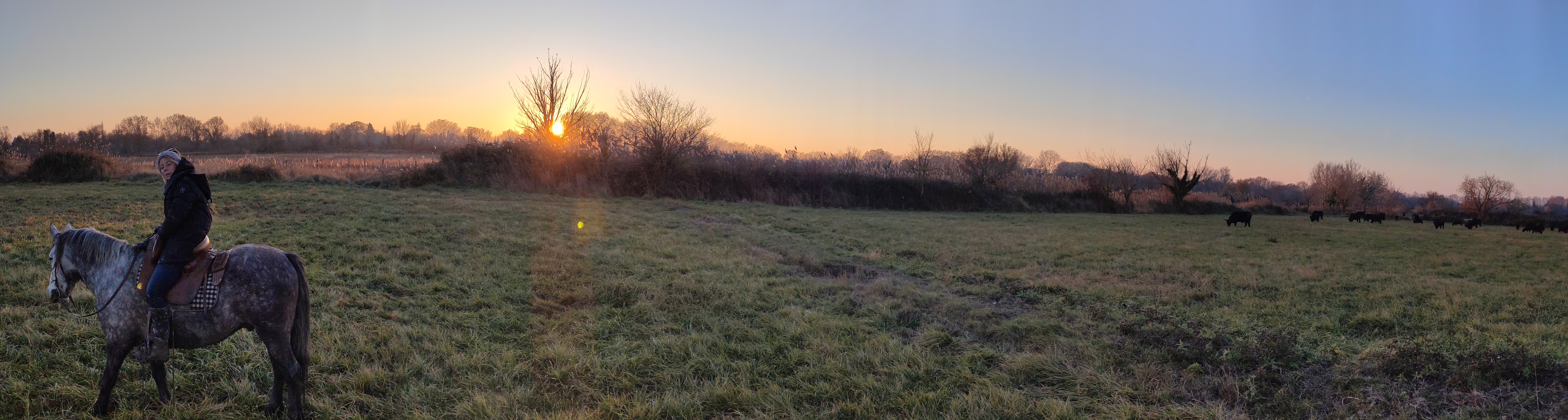 Photo n° 2 de l'avis de Sébastien.i fait le 19/12/2021 à 18:29