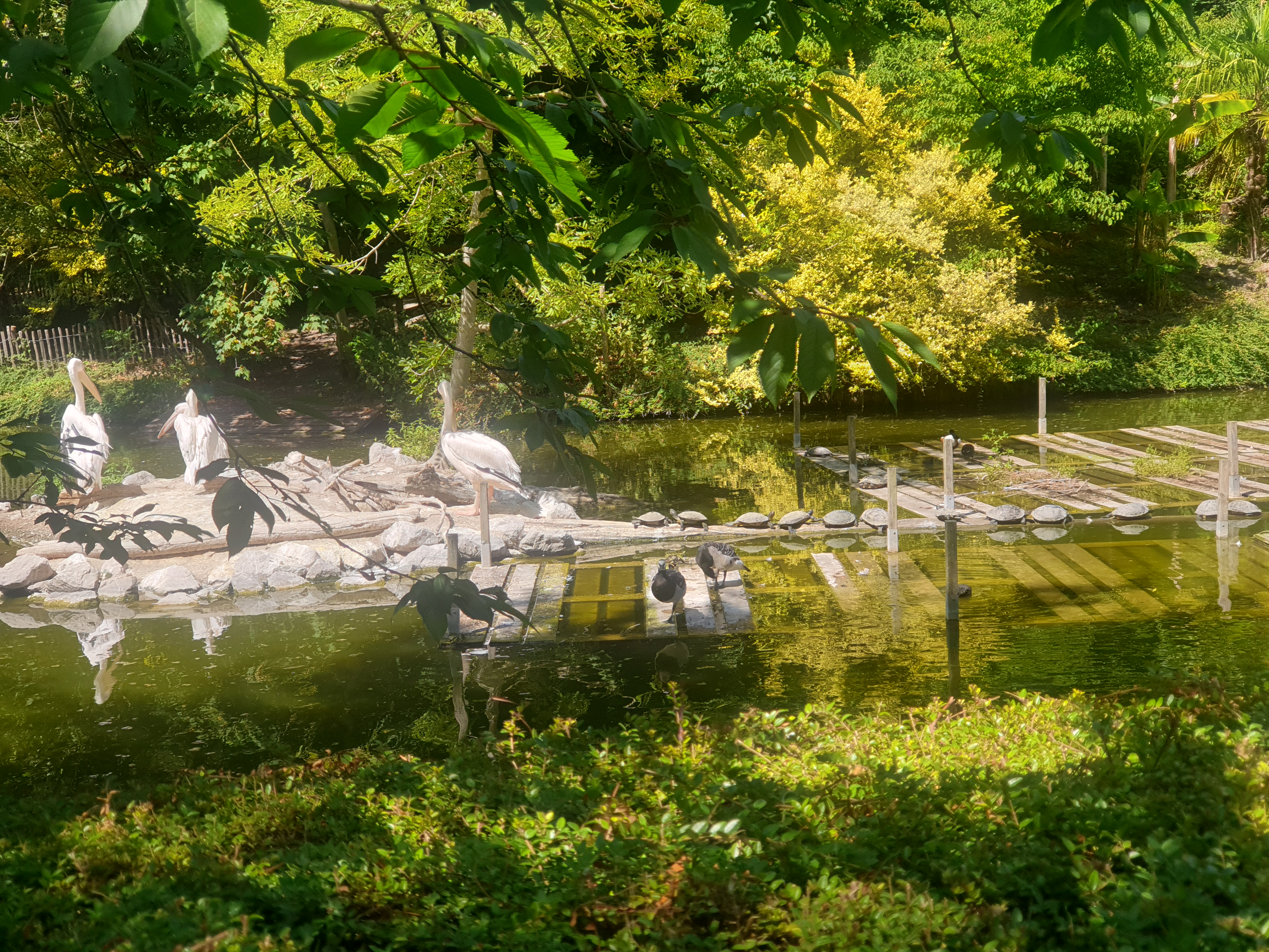 Photo n° 11 de l'avis de Ho.a fait le 16/07/2022 à 15:46