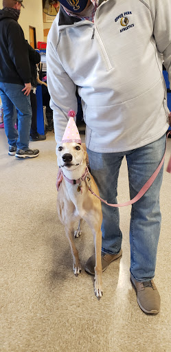 Pet Supply Store «PetSmart», reviews and photos, 1125 Quentin Rd, Lebanon, PA 17042, USA