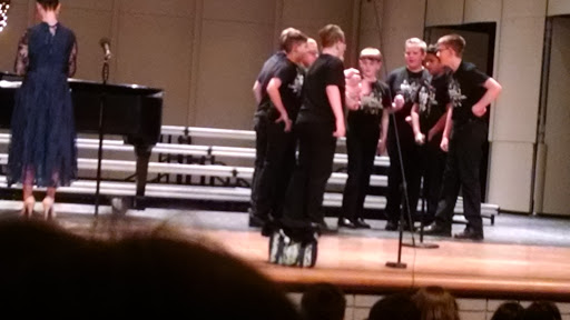 Performing Arts Theater «Medina Performing Arts Center», reviews and photos, 851 Weymouth Rd, Medina, OH 44256, USA