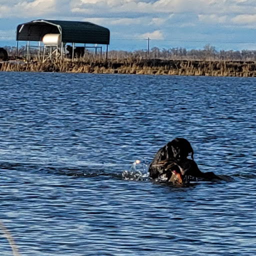 Auto Repair Shop «Bud Adams Auto Repair», reviews and photos, 18811 Lake Chabot Rd, Castro Valley, CA 94546, USA
