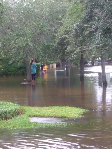 Park «Balis Park», reviews and photos, 1999 San Marco Blvd, Jacksonville, FL 32207, USA