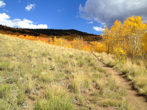 Bicycle Store «ProCycling», reviews and photos, 415 W Pikes Peak Ave, Colorado Springs, CO 80905, USA