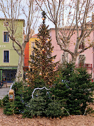 Photo n°90 de LA MAISON VERTE à Sète ()