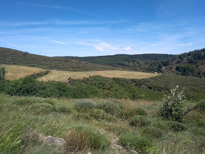Barbe à Prévenchères