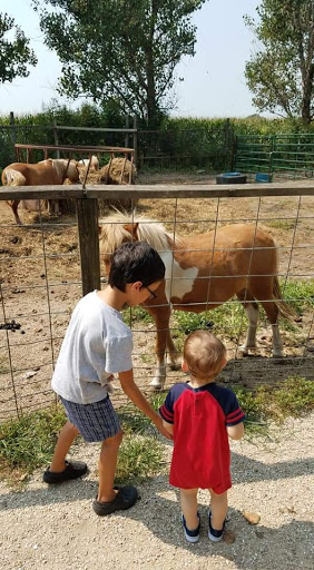 Zoo «Cricket Hollow Zoo», reviews and photos, 1512 210th St, Manchester, IA 52057, USA