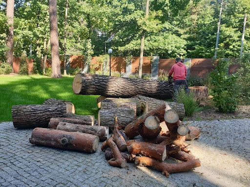 🌳 JUMPER - WYCINKA DRZEW PIASECZNO, koszenie traw i zarośli, formowanie żywopłotów i drzew