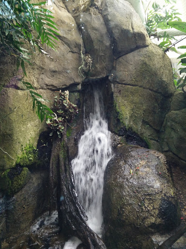 Shopping Mall «Galvez Shopping Center», reviews and photos, 6228 Broadway St, Galveston, TX 77551, USA