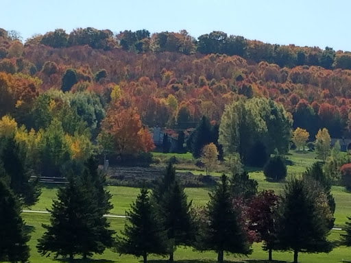 Golf Course «Elm Tree Golf Course», reviews and photos, 283 NY-13, Cortland, NY 13045, USA