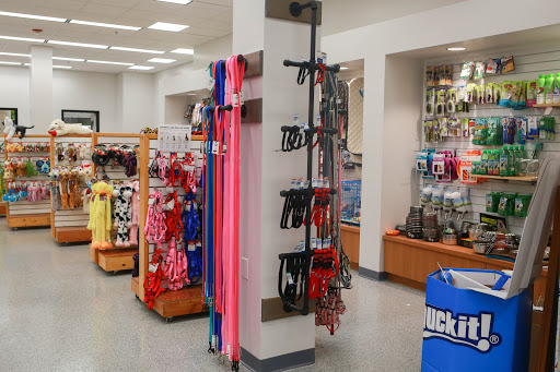 Pet Store «Animal Kingdom», reviews and photos, 4500 N Oracle Rd #254, Tucson, AZ 85705, USA