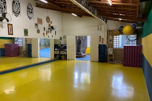 Escola de Capoeira Cerrado image
