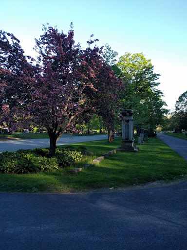 Park «Shedd Park», reviews and photos, 453 Rogers St, Lowell, MA 01852, USA