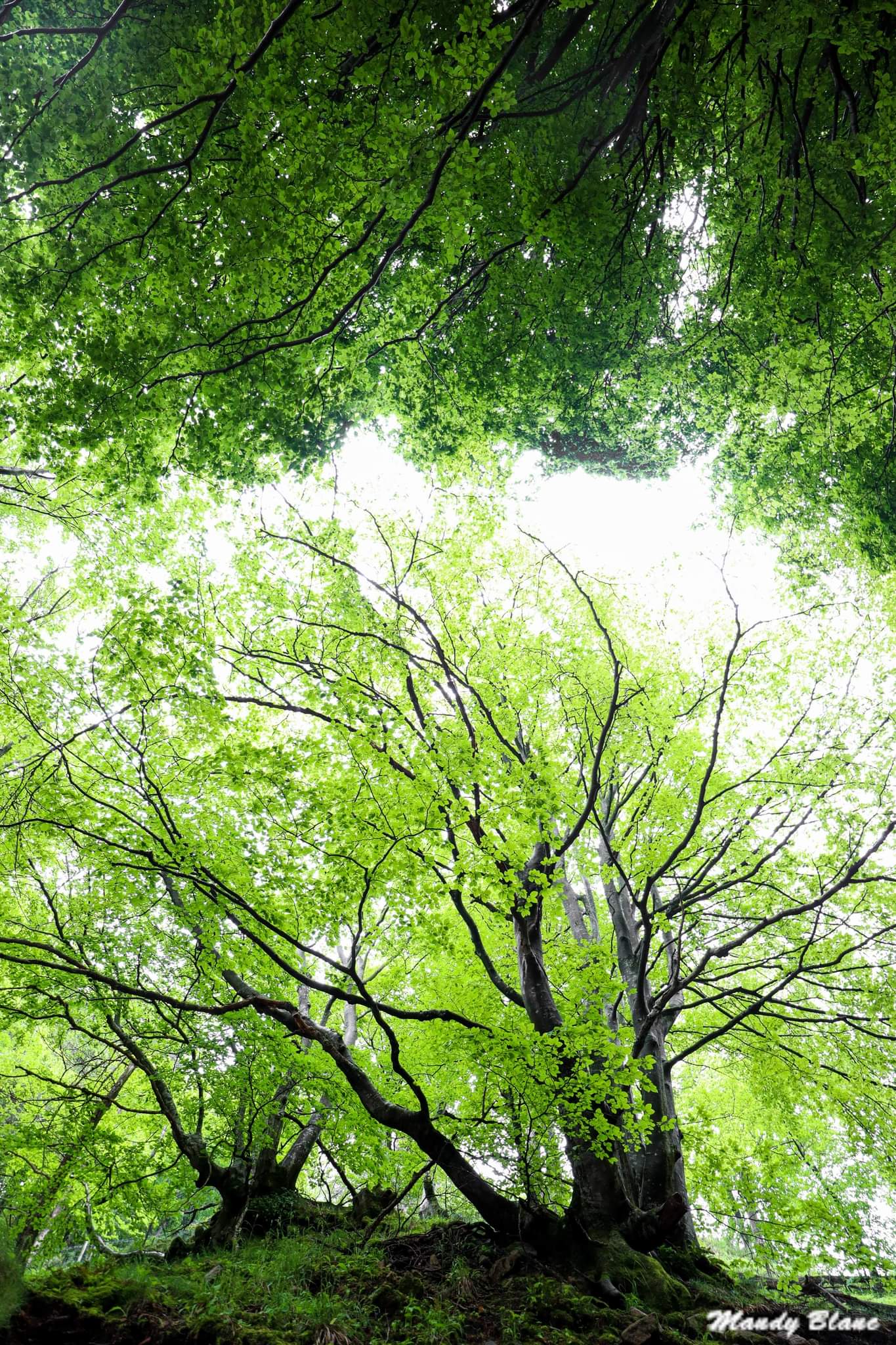 Photo n° 2 de l'avis de Mandy.a fait le 10/02/2023 à 08:31