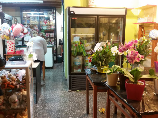 Floreria San Borja - Flowers shop Peru