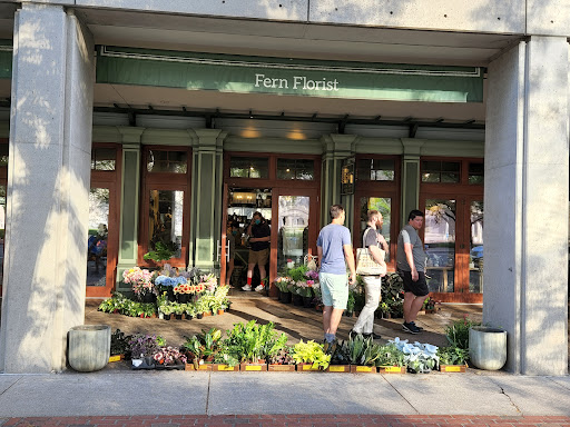 Fern by Boston Rose Florist, 225 Massachusetts Ave, Boston, MA 02115, USA, 