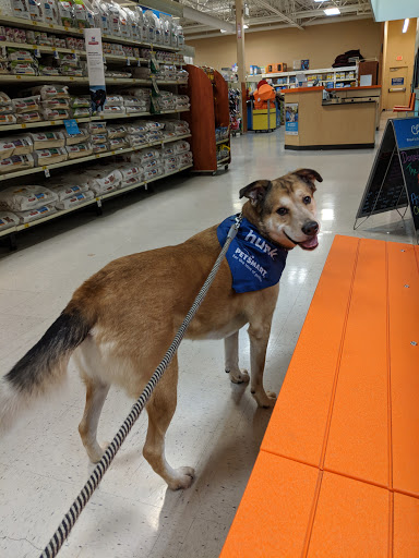 Pet Supply Store «PetSmart», reviews and photos, 3780 Riverchase Village #300, Hoover, AL 35244, USA