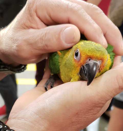 Pet Store «Tri-Creek Kennels», reviews and photos, 5641 US-129, Pendergrass, GA 30567, USA