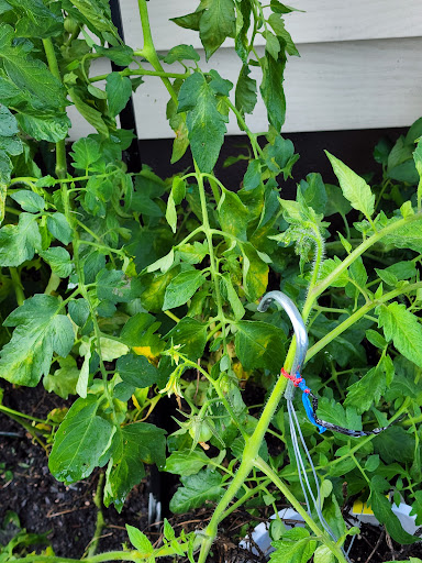 Market «South Main St Fruit Market», reviews and photos, 5012 Main St, Anderson, IN 46013, USA