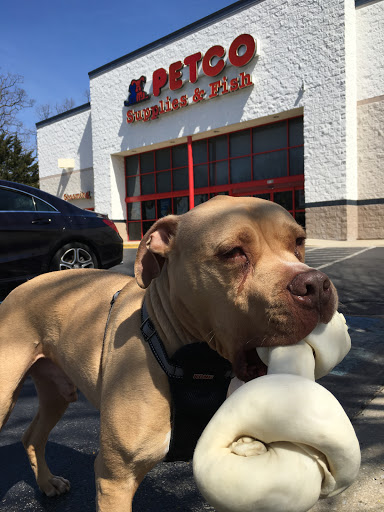 Pet Supply Store «Petco Animal Supplies», reviews and photos, 1719 York Rd, Lutherville, MD 21093, USA