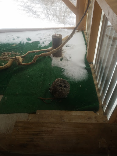 Museum «Harry C Barnes Memorial Nature Center», reviews and photos, 175 Shrub Rd, Bristol, CT 06010, USA