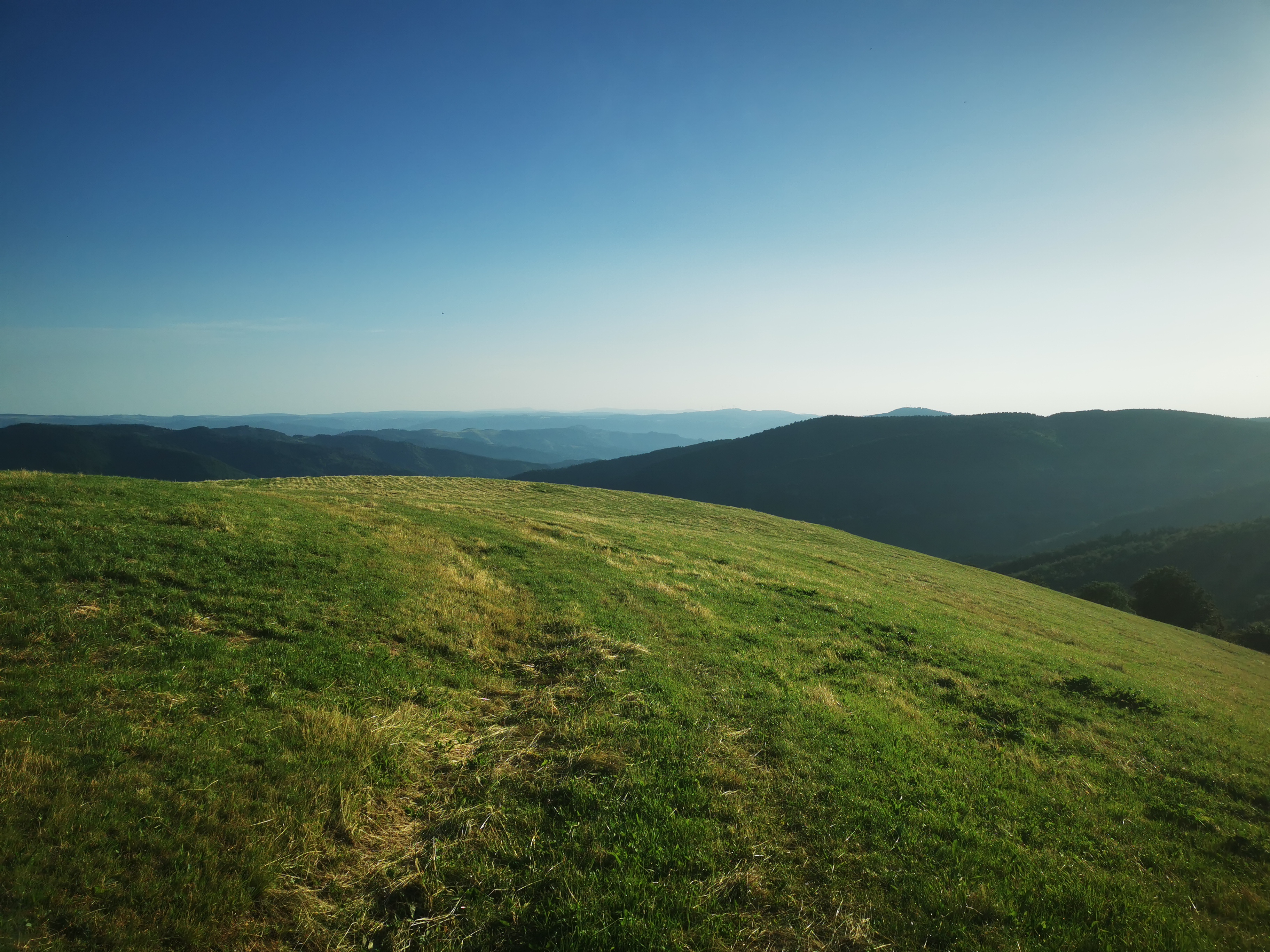 Photo n° 22 de l'avis de Seb. fait le 14/07/2023 à 04:55