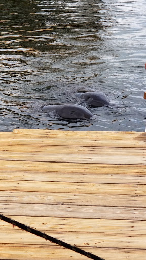 Aquarium «Florida Keys Aquarium Encounters», reviews and photos, 11710 Overseas Hwy, Marathon, FL 33050, USA