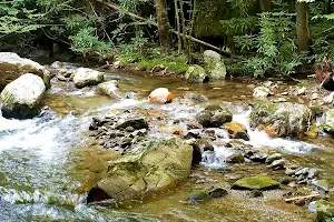 Rock Creek Recreation Area image