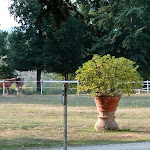 Photo n°15 de l'avis de Marco.a fait le 12/09/2021 à 15:32 sur le  La Limonaia di Villa Senni Scarperia Ristorante Mugello - Fiorentina e Tortelli Ristoranti Mugello à Scarperia e San Piero