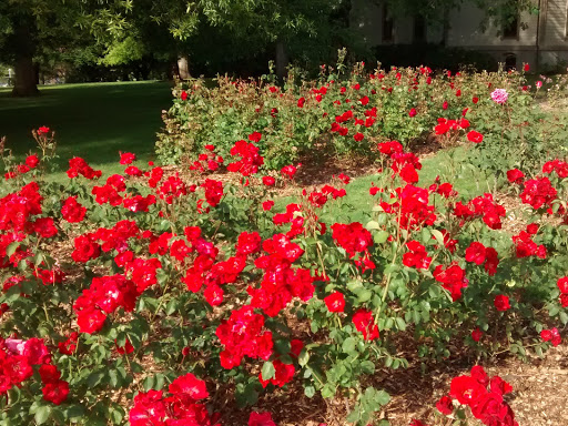 History Museum «Bush House Museum», reviews and photos, 600 Mission St SE, Salem, OR 97302, USA