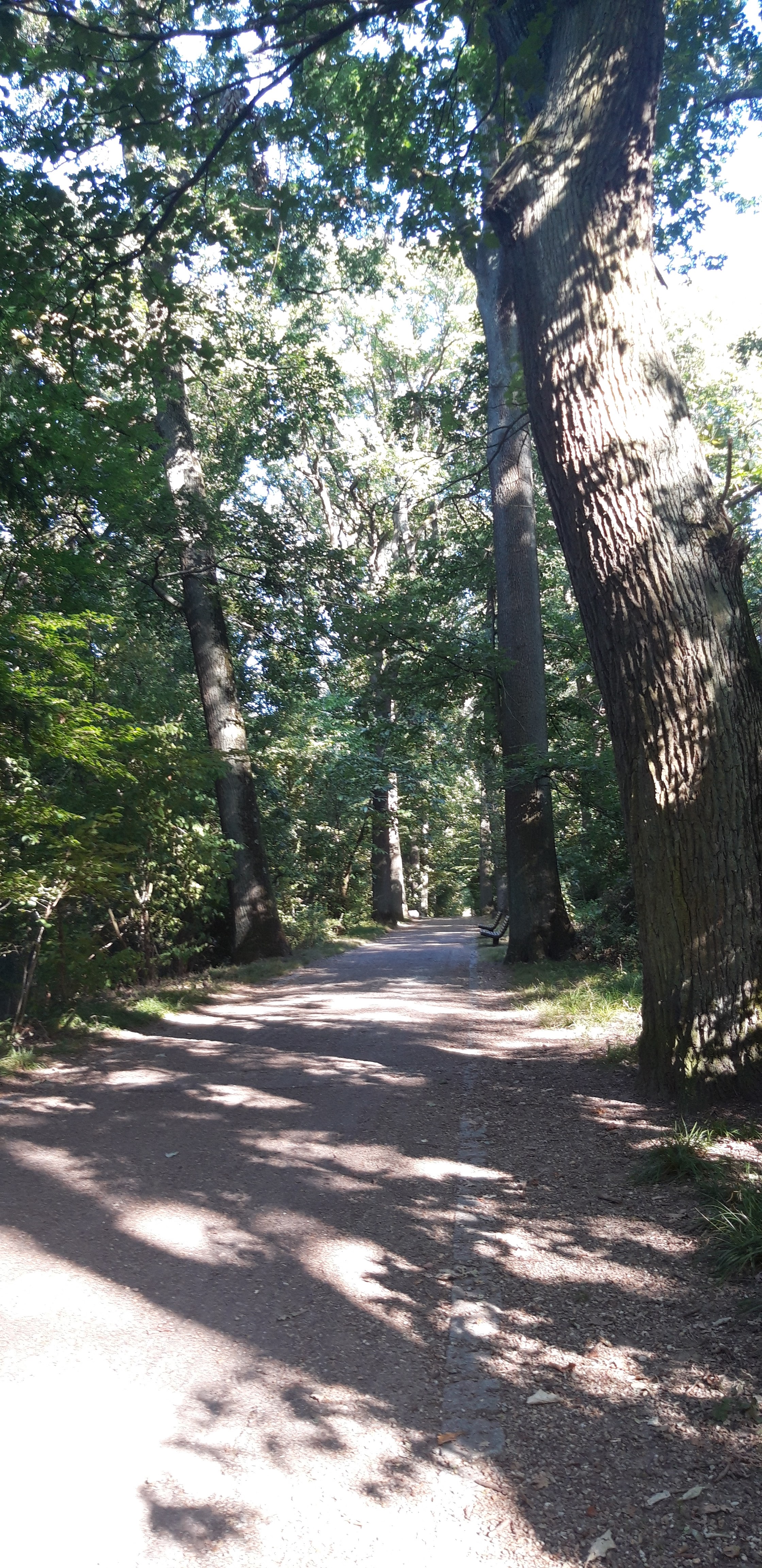 Photo n° 3 de l'avis de Sophie.h fait le 29/07/2020 à 20:52