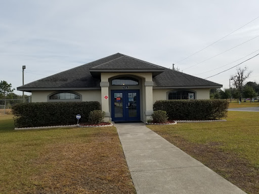 Silver Springs Shores Animal Hospital image