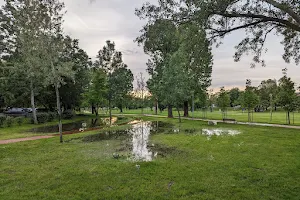Halesz park image