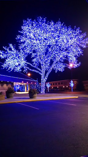 Bank «Gate City Bank», reviews and photos