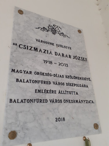 Értékelések erről a helyről: Gedenktafel von dr. Csizmazia Darab József, Balatonfüred - Múzeum