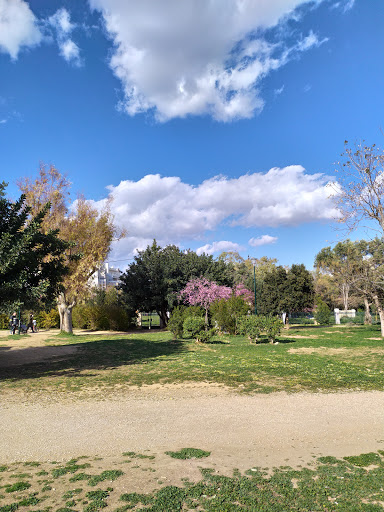 Πάρκο Ακαδημίας Πλάτωνος
