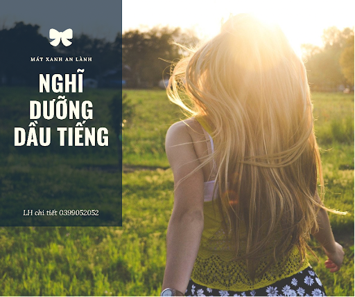 Nghĩ Dưỡng Dầu Tiếng