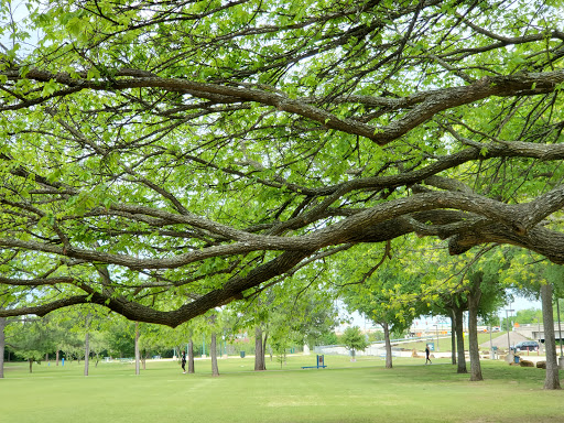 Park «Bob Eden Park», reviews and photos, 901 W Mid Cities Blvd, Euless, TX 76039, USA