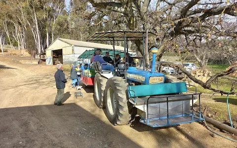 Protea Farm - Tractor Rides and Potjie Kos Lunch image